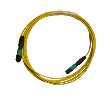 Single Mode  MPO Trunk Patch Cords