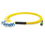 Single Mode  MPO Fan-out  Patch Cords