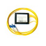 CWDM  Module